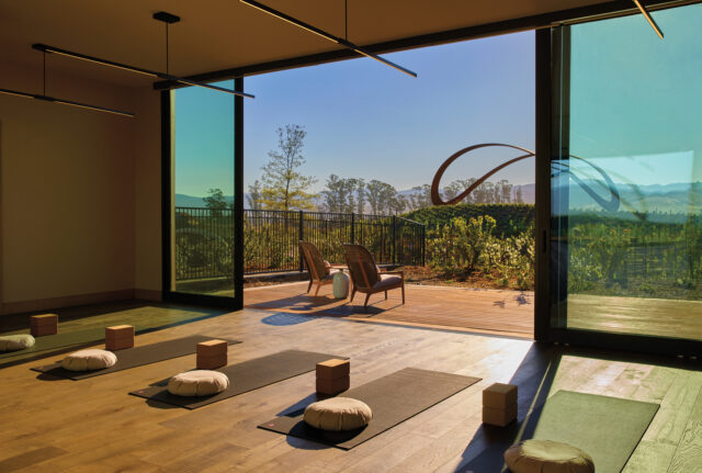 Wellness treatments in NorCal