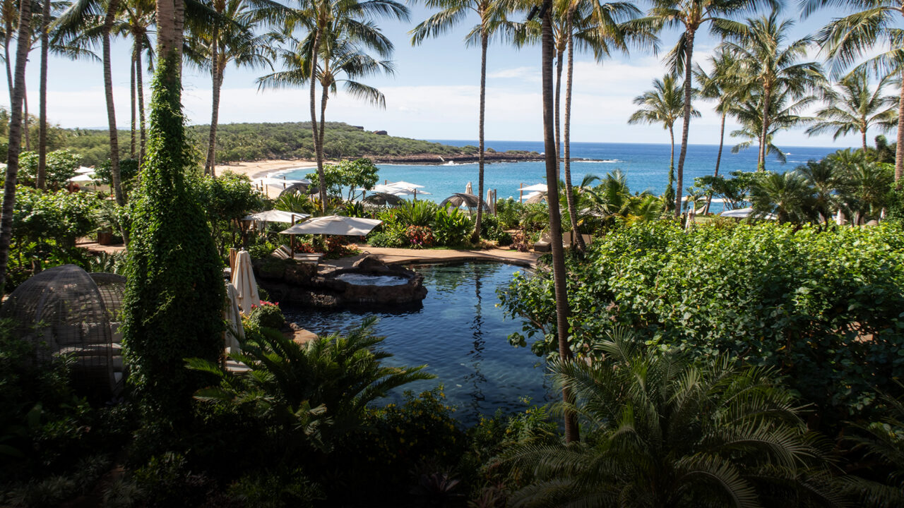 Paradise Found in the Pacific